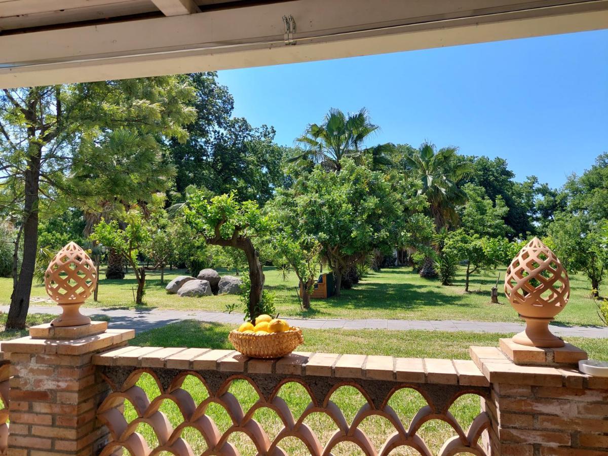 Villa Piersepp B&B トラッピテッロ エクステリア 写真
